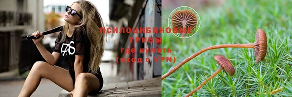 mdpv Надым