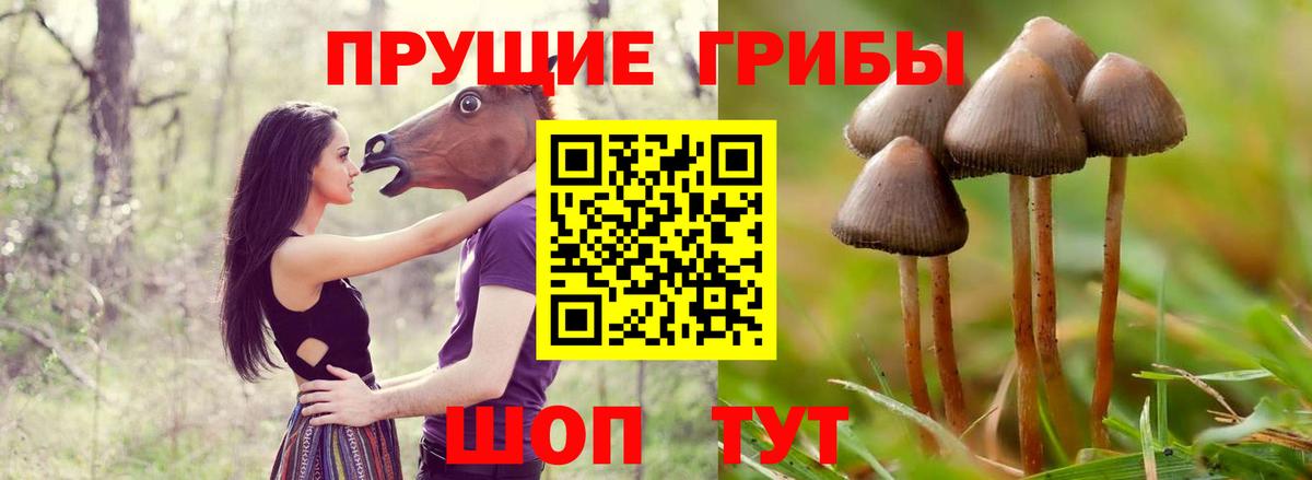 Псилоцибиновые грибы Psilocybe  Псилоцибиновые грибы Cubensis  Алапаевск 